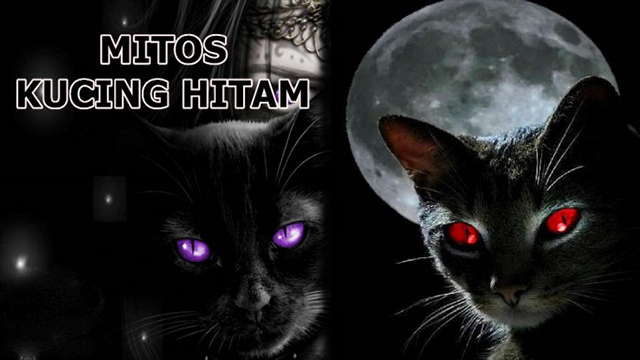 Mitos Kucing Hitam