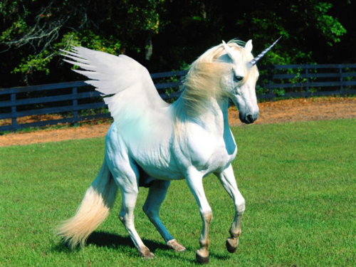 Pegasus